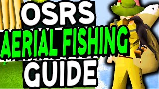 The Ultimate Aerial Fishing Guide Old School Runescape [upl. by Cos131]