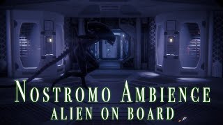 ALIEN  Nostromo Ambience  ROAMING ALIEN ON BOARD  Studying  Reading  Gaming  Nightmare Fuel [upl. by Aihsekan853]