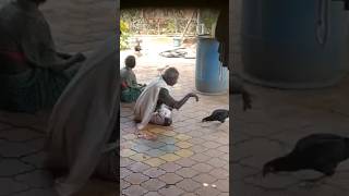 Kukura chour kanta 🤣😄viralvideo funny shortsfeed trendingcomedy funnyvideos [upl. by Byrann]