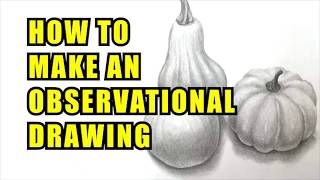 How To Make An Observational Drawing [upl. by Nahij76]