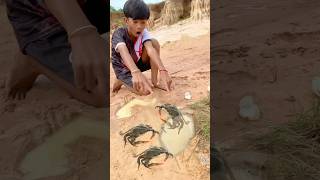 Survival skills Idea New SIMPLE but USEFUL with Crab outdoors camping youtubeshorts subscribe [upl. by Iramo119]