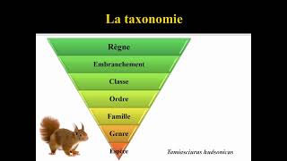 Science et technologie  La taxonomie [upl. by Daffodil]