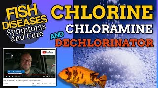 What is Chlorine and How to Dechlorinate [upl. by Kcirdnek]