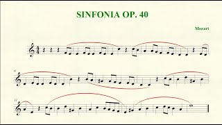 Sinfonia op 40 di Mozart  diamonica  wwwvincenzobarileit [upl. by Aileve]