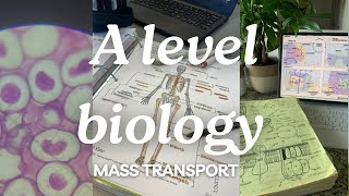 A level biology edexcel a SNAB Topic 1 Mass Transportation [upl. by Finkelstein814]