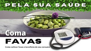 Semear favas saiba os benefícios do seu consumo [upl. by Chic]