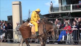 Garnaalvissers te Paard Oostduinkerke tijdens Koetsen Defilé De Panne 2011 [upl. by Kapor932]