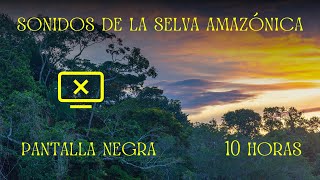 Sonidos de la Selva Amazónica  Pantalla Negra  10 Horas Pura Naturaleza [upl. by Yetak]