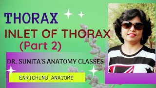 Inlet of Thorax Part 2 [upl. by Cathi]