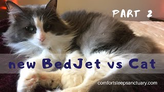 BedJet in Action vs Cat  Part 2 [upl. by Otrebcire629]