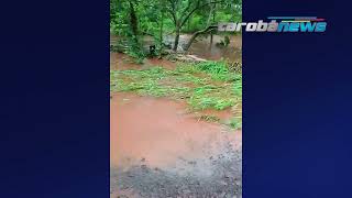 Forte chuva deixa estragos na área rural de São Miguel do Iguaçu [upl. by Oxley]