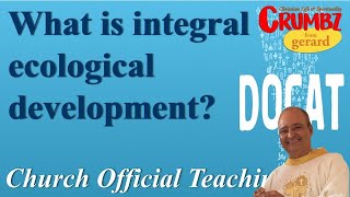 What is integral ecological development  Church Official Teaching  DoCat [upl. by Adnawat173]