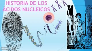 HISTORIA DE LOS ÁCIDOS NUCLEICOS [upl. by Thomajan740]