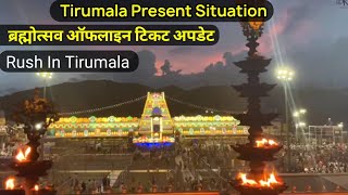 Tirumala Present Situation  Rush  Brahmotsavam In Tirumala  Tirupati Balaji Darshan Live [upl. by Rehtse]