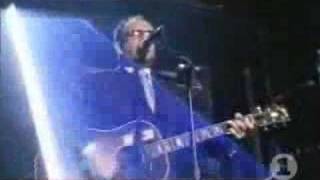 Elvis Costello  Deep Dark Truthful Mirror live [upl. by Nivel346]