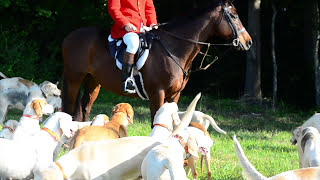 Downton Abbey ModernDay Fox Hunt A Mock Hunt [upl. by Ettenhoj]