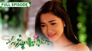 ENG SUB Ep 227  Wildflower  Maja Salvador Tirso Cruz III Aiko Melendez [upl. by Ahsitra810]