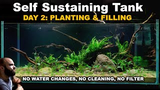 EP2 SELF SUSTAINING TANK  no water changes no cleaning no filter [upl. by Cr]