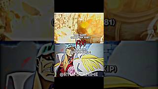 Akainu vs Old Garp Chapter 1081 [upl. by Alyakcm142]