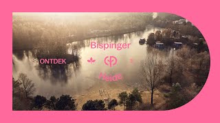 Center Parcs Bispinger Heide  Actie wellness natuur en stedentrips [upl. by Meagan]