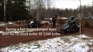 Kirks XF 1100 TD stock improve turbo winning race sled [upl. by Xenia140]