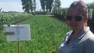 MN Soil Health Coalition Top 5 Cover Crop Mixes The Producer [upl. by Aleit887]