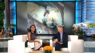 Kerry Washington on Her Adorable Dog [upl. by Moser]