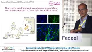 Graphene Oxide Interactions with Innate Immune Cells [upl. by Terese]