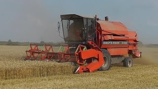 Mähdrescher DeutzFahr M1322 Weizenernte bei Meldorf [upl. by Sloan]