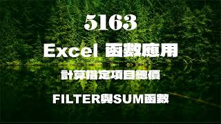 5163Excel函數應用計算指定項目總價 SUM與FILTER函數 [upl. by Duarte132]