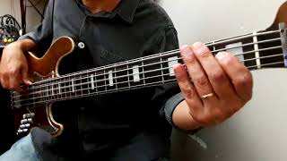 ROSANNA TOTO BASS COVER BY POLIS PELELIS [upl. by Esmond]