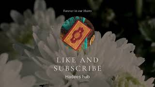 Hadeess hub intro video [upl. by Ahsirak]