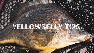 5 tips for more Yellowbelly this Spring [upl. by Rramal484]