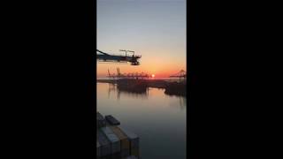 Madrid Maersk Maasvlakte II Feb 2018 [upl. by Ainnos]