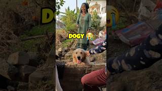 Cute Adventure 🥺 Dogvlog shorts vlog vlogger [upl. by Irakuy943]