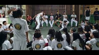 capoeira kids [upl. by Akeem]