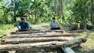 Harvesting cassava for sale  Preparing to build a carpentry workshop  Dang Thi Mui [upl. by Sisto]