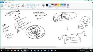 SOC Analyst Training Day 2  introduction To Netwoking  Part 1 [upl. by Blanding]