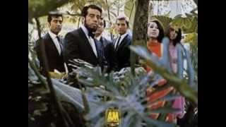 Sergio Mendes Brasil 66  For What Its Worth [upl. by Nahte]