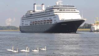 ms Rijndam and the ss Rotterdam [upl. by Mildrid]