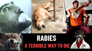 Rabies A Terrible Way To Die [upl. by Veta]