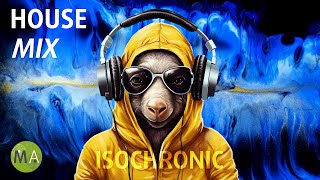 Peak Focus for Complex Tasks House Study Music Aardvark Mix with Isochronic Tones [upl. by Japha]