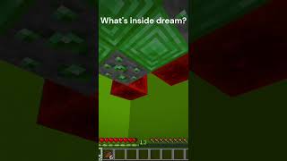 Whats inside dream dream minecraft minecrfatmemes dreamsmp minecraftmeme meme fyp shorts [upl. by Hana64]