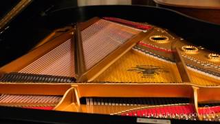 Rebuilt Mason amp Hamlin Model A Grand Piano Review [upl. by Sukramed]