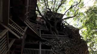 Middle Distance RunnerMinisters Treehouse [upl. by Amolap]