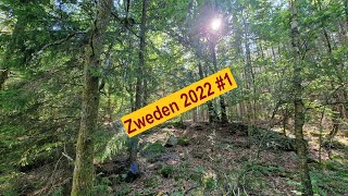 Zweden 2022🌲🌲 1 [upl. by Alled]