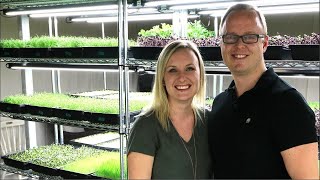 10000 a Month Growing Microgreens in a Basement [upl. by Nertie]