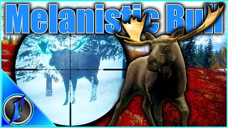 Flinters Melanistic Surprise Moose in Hunter Power Pack Early Access [upl. by Leur]