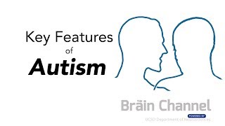 Key Features of Autism [upl. by Jepson337]