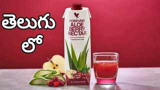 Aloe Berry Nectar Benefits  TELUGU  Complete details FLP Telugu TEAM [upl. by Brader]